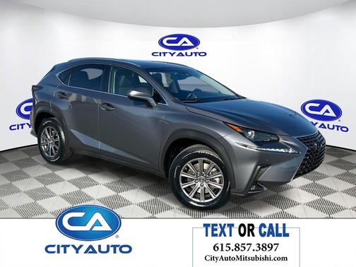 Nebula Gray Pearl 2019 Lexus NX 300 Base