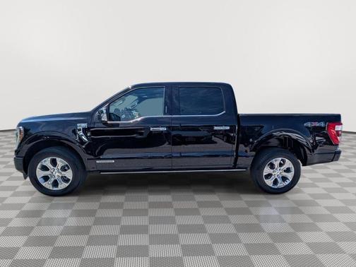 Agate Black Metallic 2023 Ford F-150 Platinum
