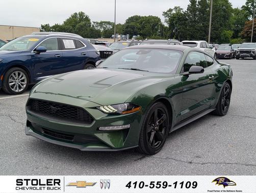 Eruption Green Metallic 2022 Ford Mustang EcoBoost