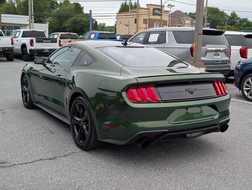 Eruption Green Metallic 2022 Ford Mustang EcoBoost