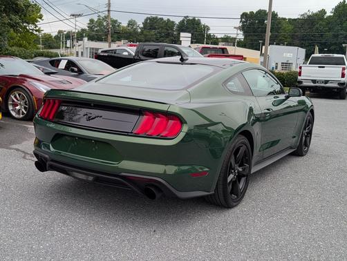 Eruption Green Metallic 2022 Ford Mustang EcoBoost