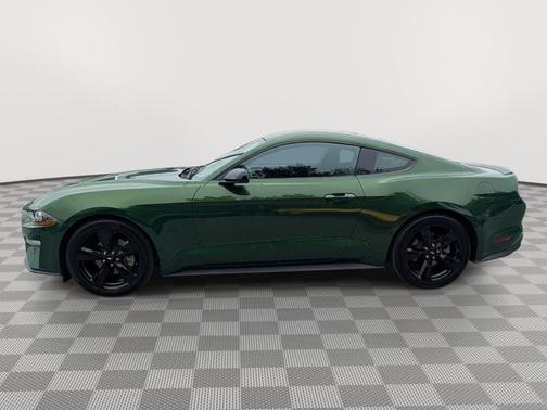 Eruption Green Metallic 2022 Ford Mustang EcoBoost