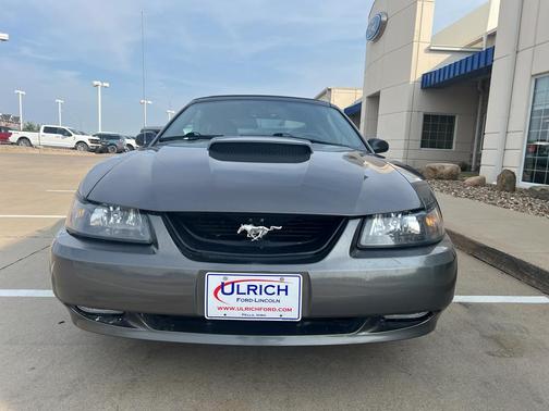 2004 Ford Mustang GT Deluxe