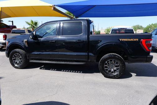 Agate Black Metallic 2022 Ford F-150 Tremor