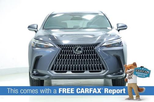 Gray 2024 Lexus NX 250 Premium
