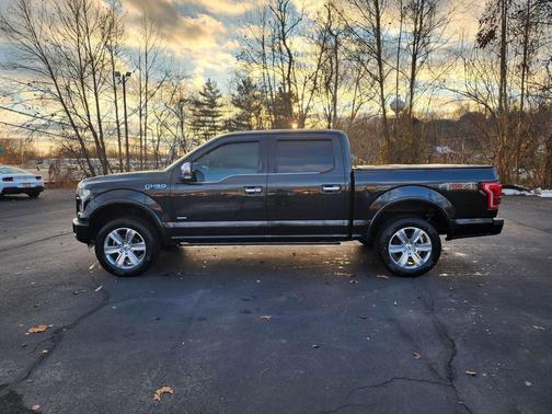 2015 Ford F-150 Platinum