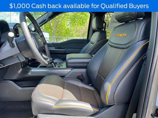 MARSH GRAY 2026 Ford F-150 Tremor