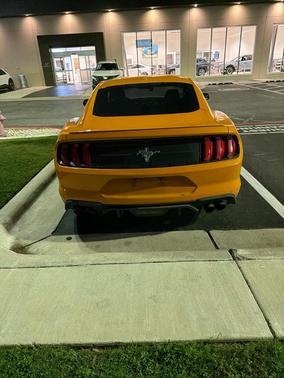 Orange 2019 Ford Mustang EcoBoost Premium