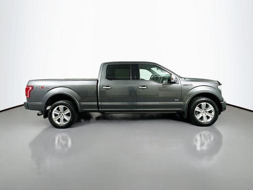 2015 Ford F-150 Platinum