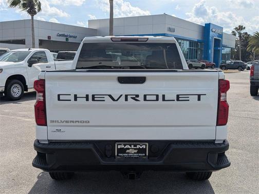 2019 Chevrolet Silverado 1500 WT