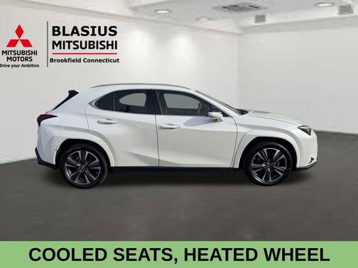 2024 Lexus UX 250h Premium