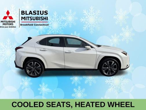 2024 Lexus UX 250h Premium