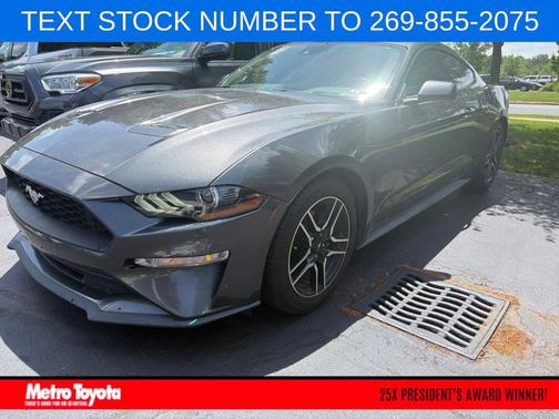 Magnetic Metallic 2019 Ford Mustang EcoBoost Premium