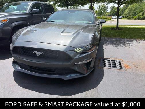 Magnetic Metallic 2019 Ford Mustang EcoBoost Premium