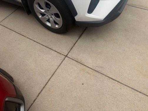Ice Cap 2024 Toyota RAV4 LE