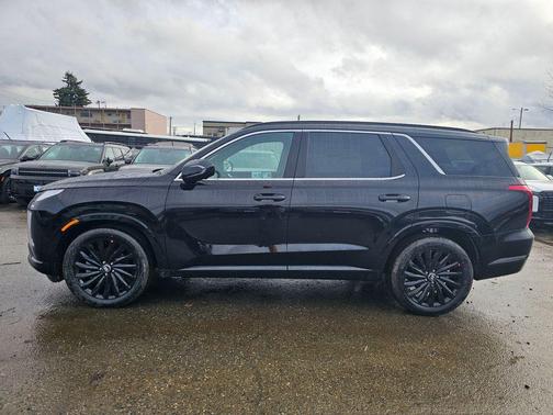 Abyss Black Pearl 2025 Hyundai PALISADE Calligraphy Night Edition