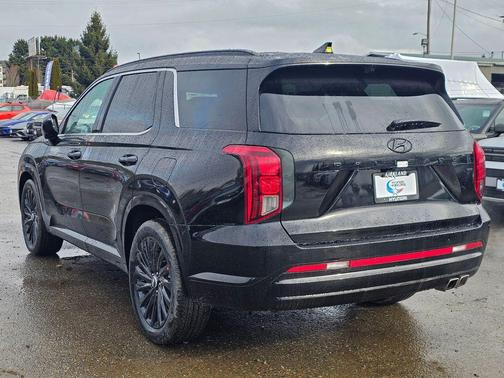 Abyss Black Pearl 2025 Hyundai PALISADE Calligraphy Night Edition