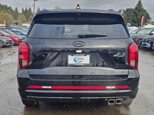 Abyss Black Pearl 2025 Hyundai PALISADE Calligraphy Night Edition