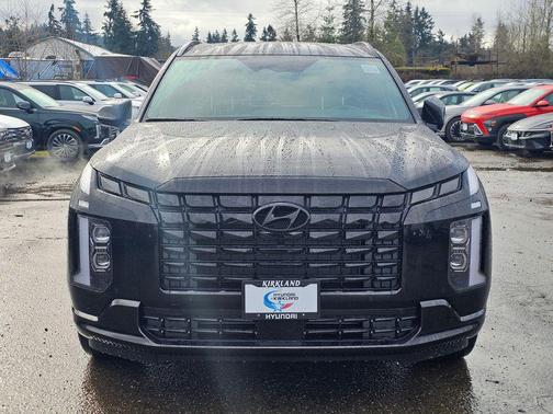 Abyss Black Pearl 2025 Hyundai PALISADE Calligraphy Night Edition