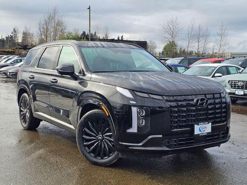 Abyss Black Pearl 2025 Hyundai PALISADE Calligraphy Night Edition
