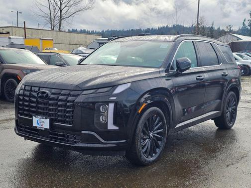 Abyss Black Pearl 2025 Hyundai PALISADE Calligraphy Night Edition