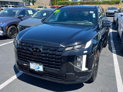 Abyss Black Pearl 2025 Hyundai PALISADE Calligraphy Night Edition