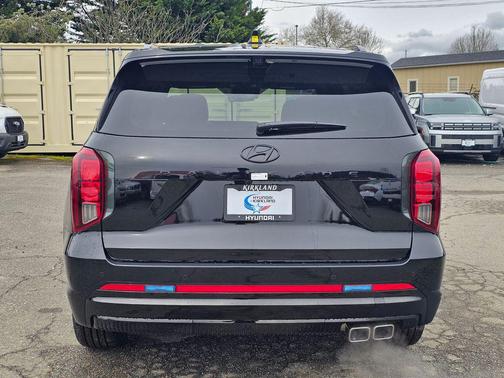 Abyss Black Pearl 2025 Hyundai PALISADE Calligraphy Night Edition