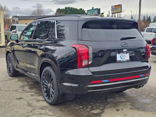 Abyss Black Pearl 2025 Hyundai PALISADE Calligraphy Night Edition