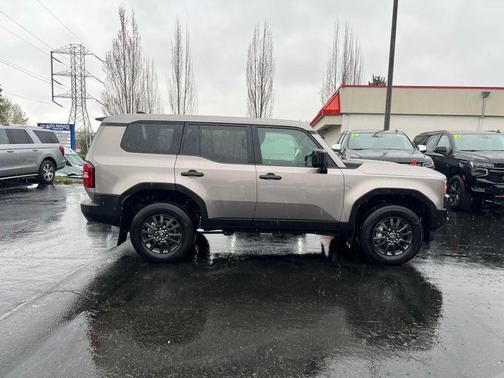 Meteor Shower 2025 Toyota Land Cruiser 1958