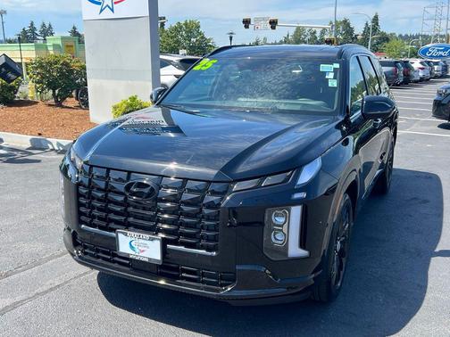 Abyss Black Pearl 2025 Hyundai PALISADE Calligraphy Night Edition
