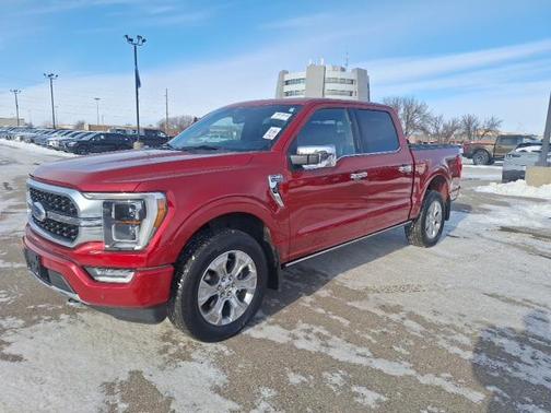 2023 Ford F-150 Platinum