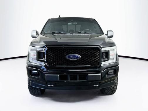 Agate Black Metallic 2019 Ford F-150 Platinum