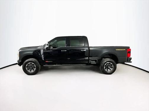 2024 Ford F-250 Platinum
