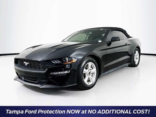 2019 Ford Mustang EcoBoost