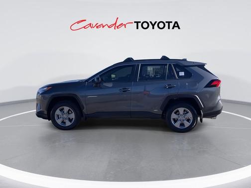Magnetic Gray Metallic 2025 Toyota RAV4 Hybrid LE