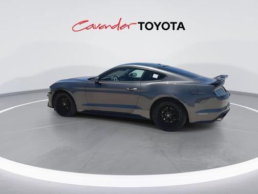 Magnetic Metallic 2019 Ford Mustang EcoBoost