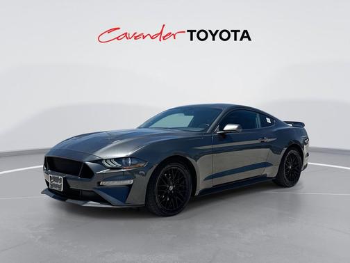 Magnetic Metallic 2019 Ford Mustang EcoBoost