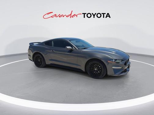 Magnetic Metallic 2019 Ford Mustang EcoBoost