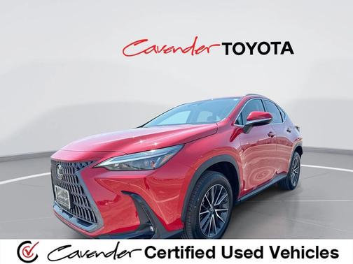 2024 Lexus NX 250 Premium