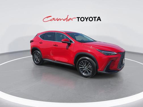 2024 Lexus NX 250 Premium