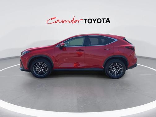 2024 Lexus NX 250 Premium