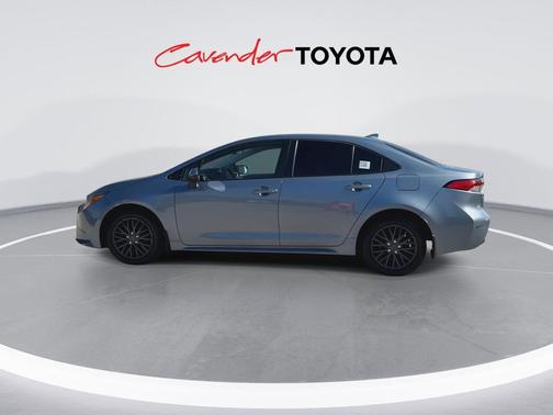 Celestite 2025 Toyota Corolla LE