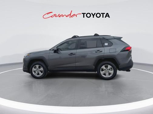 Magnetic Gray 2025 Toyota RAV4 XLE
