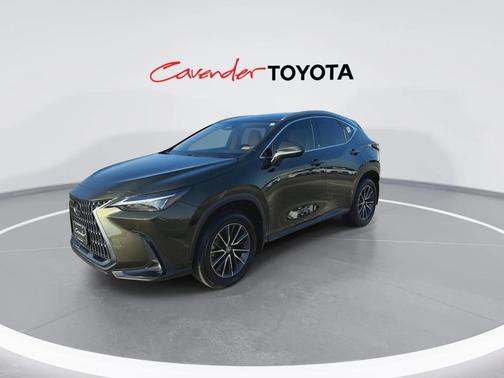 2024 Lexus NX 250 Premium