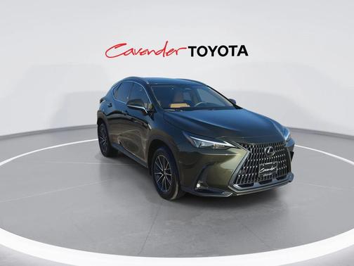 2024 Lexus NX 250 Premium