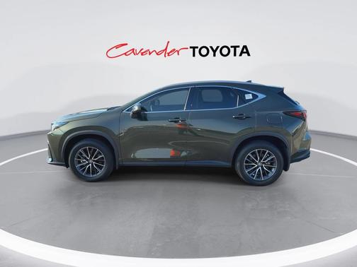 2024 Lexus NX 250 Premium