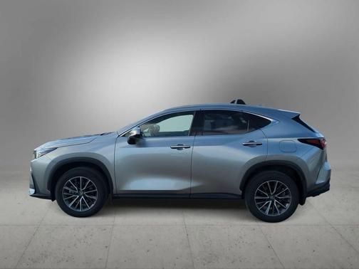 2024 Lexus NX 350h AWD