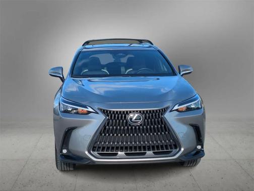 2024 Lexus NX 350h AWD