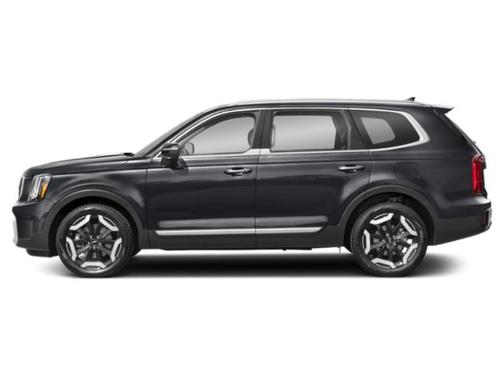 Panthera Metal 2025 Kia Telluride S