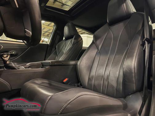 2019 Lexus ES 350 F Sport